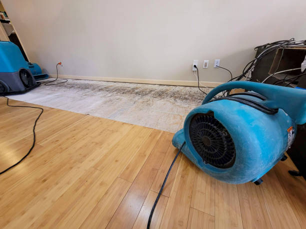 Professional Structural Drying technician working in Mattapan, MA